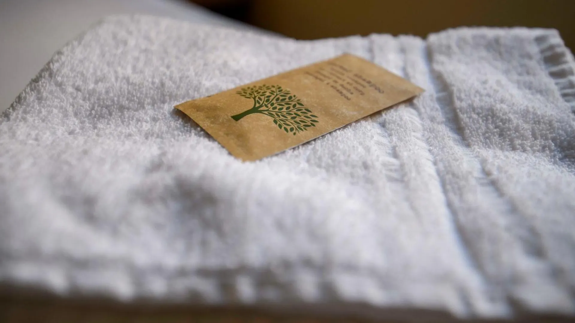Hotel Ideale Bologna Italy