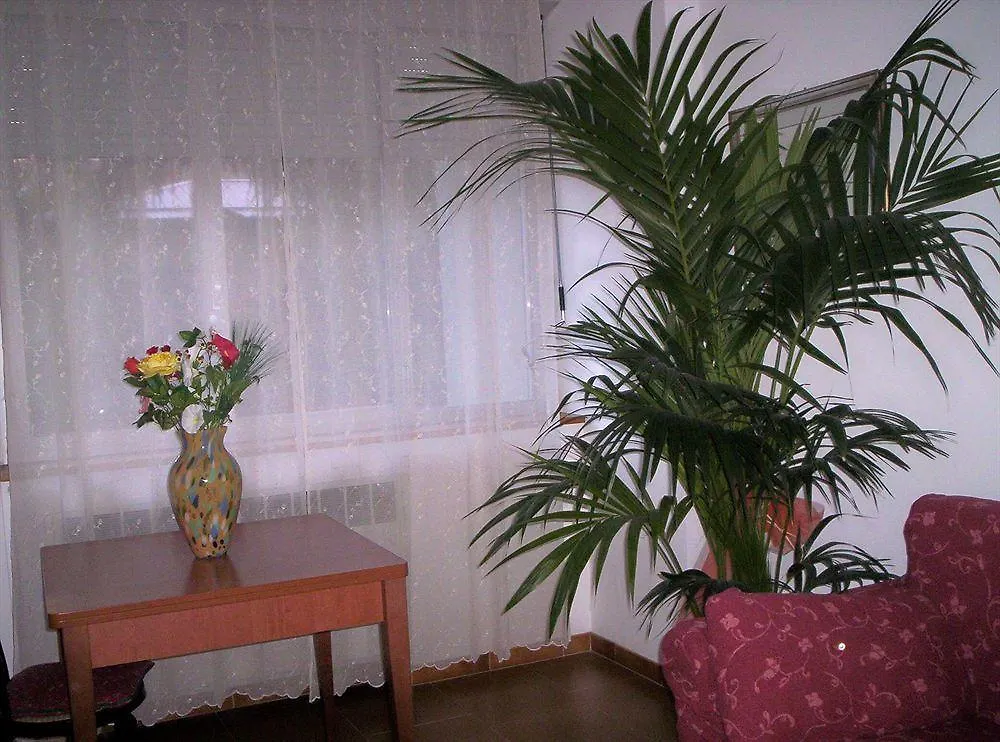 Hotel Ideale Bologna Italy